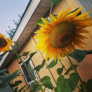 Meet your Posher, Mackenzie